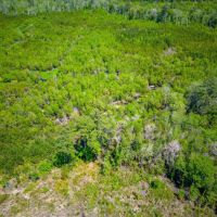 190 Acres of Pure Outdoor Paradise on Scuffle Town Road images 5
