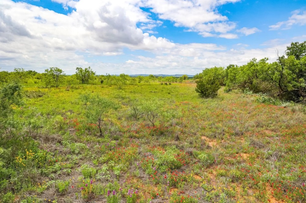 Baldwin Ranch featured image