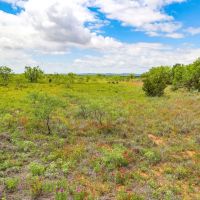 Baldwin Ranch