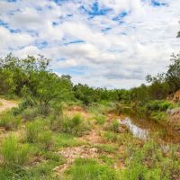 Baldwin Ranch images 3