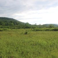 Dodge Creek