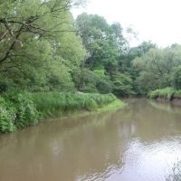 Dodge Creek images 2