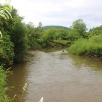 Dodge Creek images 3