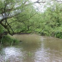 Dodge Creek images 4