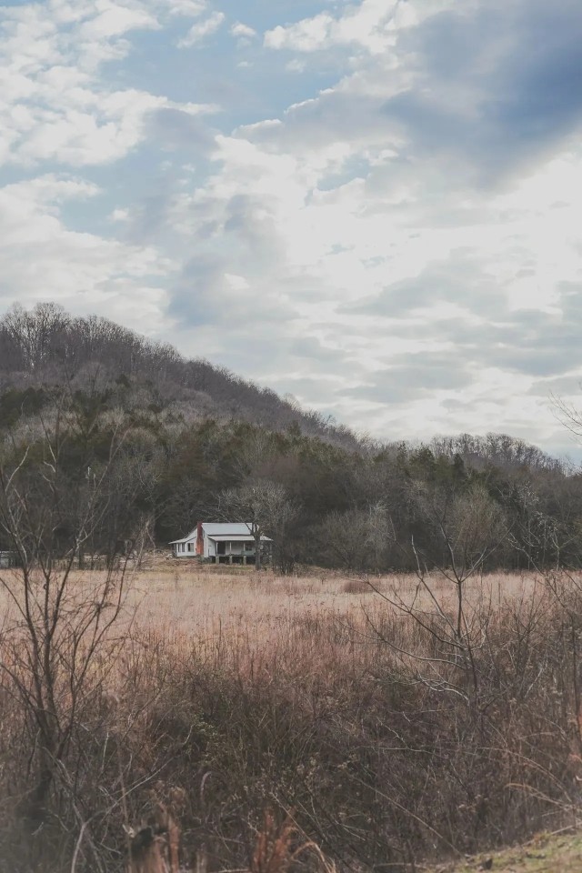 150 Acres with 3 Homes in Putnam County TN featured image