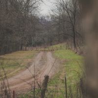 150 Acres with 3 Homes in Putnam County TN images 3