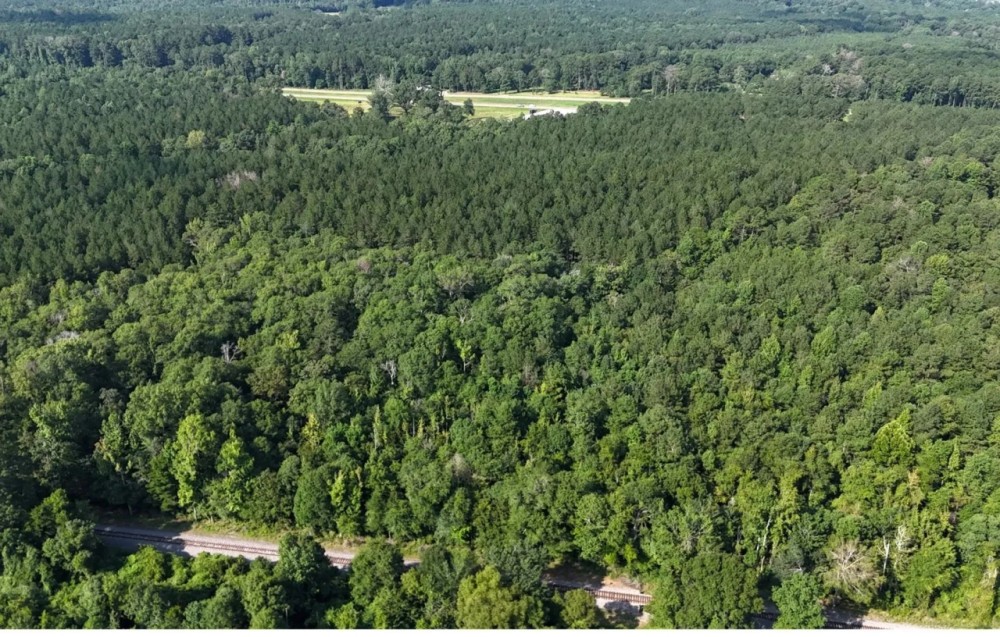 68 Acres in Covington County in Mt. Olive MS featured image