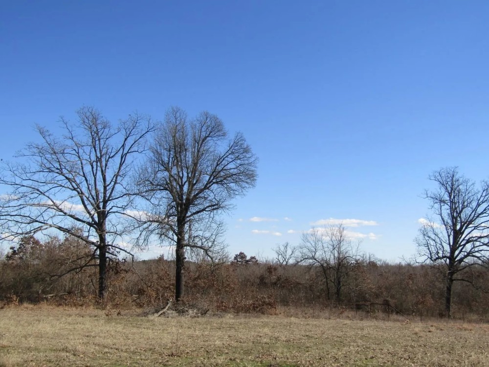 Rolling Hill Ranches Development Phase II Building Lot 4 32 AC featured image