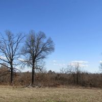Rolling Hill Ranches Development Phase II Building Lot 4 32 AC