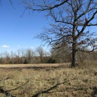 Rolling Hill Ranches Development Phase II Building Lot 4 32 AC images 3
