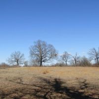 Rolling Hill Ranches Development Phase II Building Lot 4 32 AC images 4