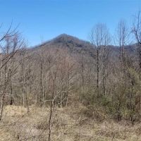 56.9 - Acre Rare Land Tract In Whittier images 2