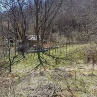 56.9 - Acre Rare Land Tract In Whittier images 3