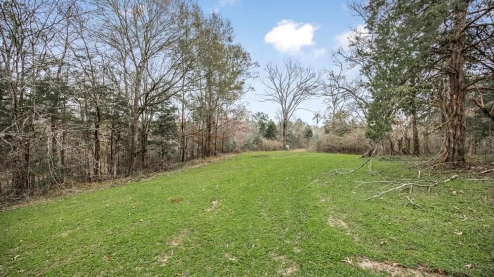 50 Acres TurnKey Hunting Camp SW Wilkinson County MS featured image