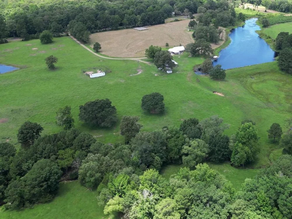 152 acres with 2700 sq. ft. home Annona TX Red River County featured image