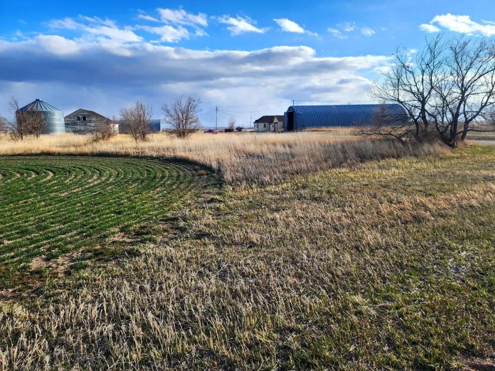 3BR 1BA Ranch Style Home with Cropland Pasture featured image