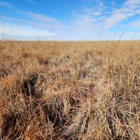 Expired CRP Parcel located in a Good Farming Area images 2