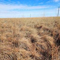 Expired CRP Parcel located in a Good Farming Area images 4
