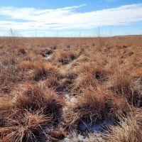 Expired CRP Parcel located in a Good Farming Area images 5
