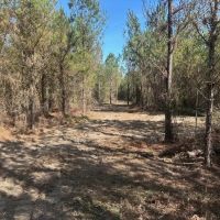 Ogeechee River Haven images 2