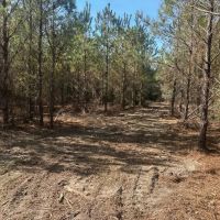 Ogeechee River Haven images 3