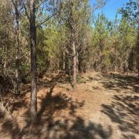 Ogeechee River Haven images 4