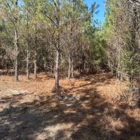 Ogeechee River Haven images 5