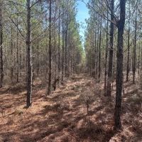 Ogeechee River Haven