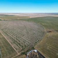 Merrill Farms Sold in 2 Tracts