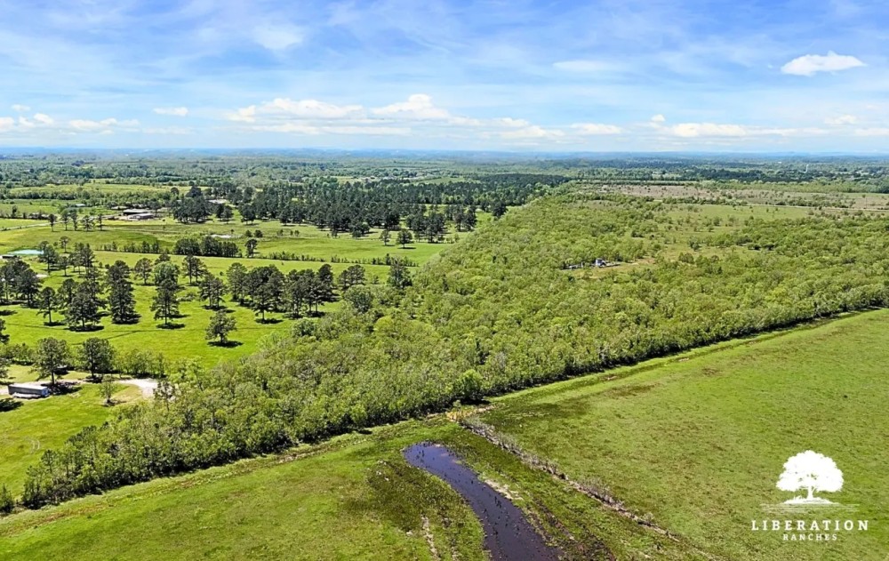 Liberty TX Tract 3 12 Acres Only 15K Down featured image