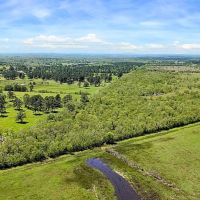 Liberty TX Tract 3 12 Acres Only 15K Down