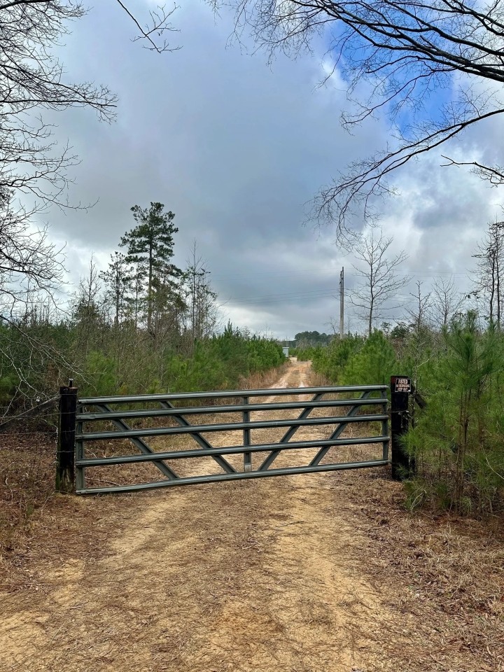 127 Acres in Jasper County MS featured image