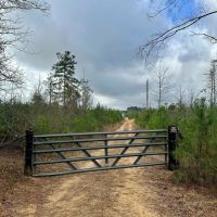 127 Acres in Jasper County MS