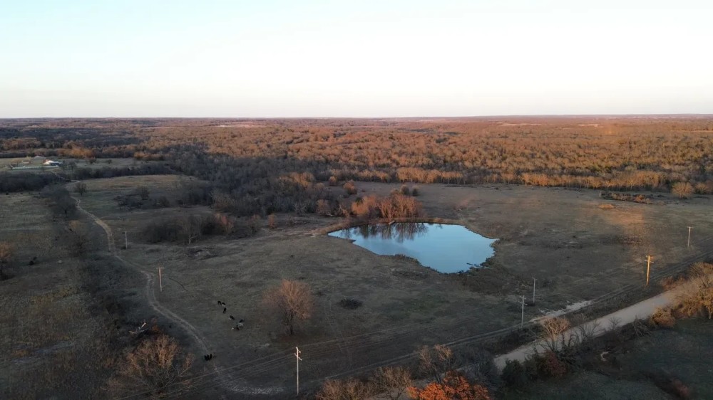 Okemah 40 Acres with Pond featured image