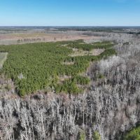 234.44 acres Farm and Recreational Land for Sale in Gates County NC images 2