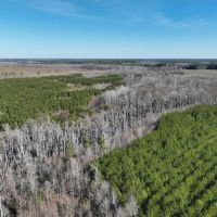 234.44 acres Farm and Recreational Land for Sale in Gates County NC images 3