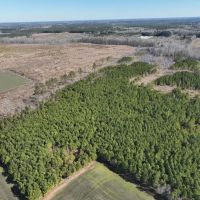 234.44 acres Farm and Recreational Land for Sale in Gates County NC images 4