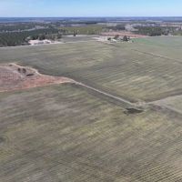 234.44 acres Farm and Recreational Land for Sale in Gates County NC images 5