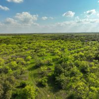 Cisco TX Hunting Ranch For Sale images 3