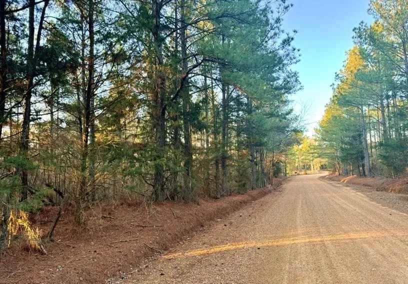 15 Acres in Attala County in Kosciusko MS featured image