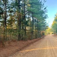 15 Acres in Attala County in Kosciusko MS