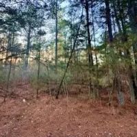 15 Acres in Attala County in Kosciusko MS images 3