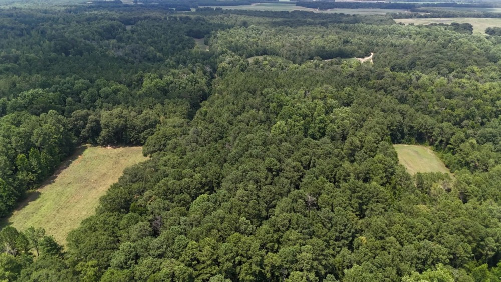 603 Acres with a Lodge in Sumter County GA featured image