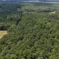 603 Acres with a Lodge in Sumter County GA