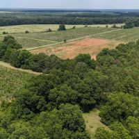 603 Acres with a Lodge in Sumter County GA images 4