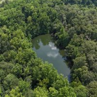 603 Acres with a Lodge in Sumter County GA images 5