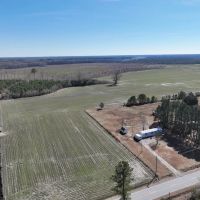 49.04 acres of Farm Residential and Recreational Land for Sale in Gates County NC images 4