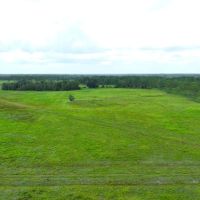 Osceola Legacy Ranch images 4
