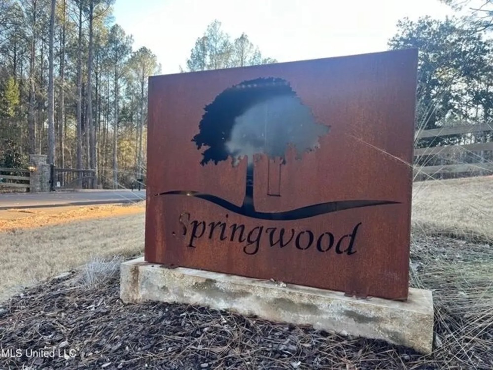 Lot 13 Springwood Trail Madison County MS featured image