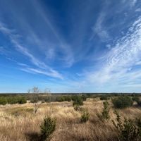 TBD BCR 101 Lampasas Texas 76550perty